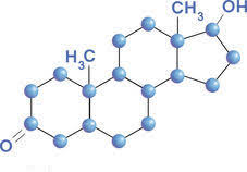 testosterone